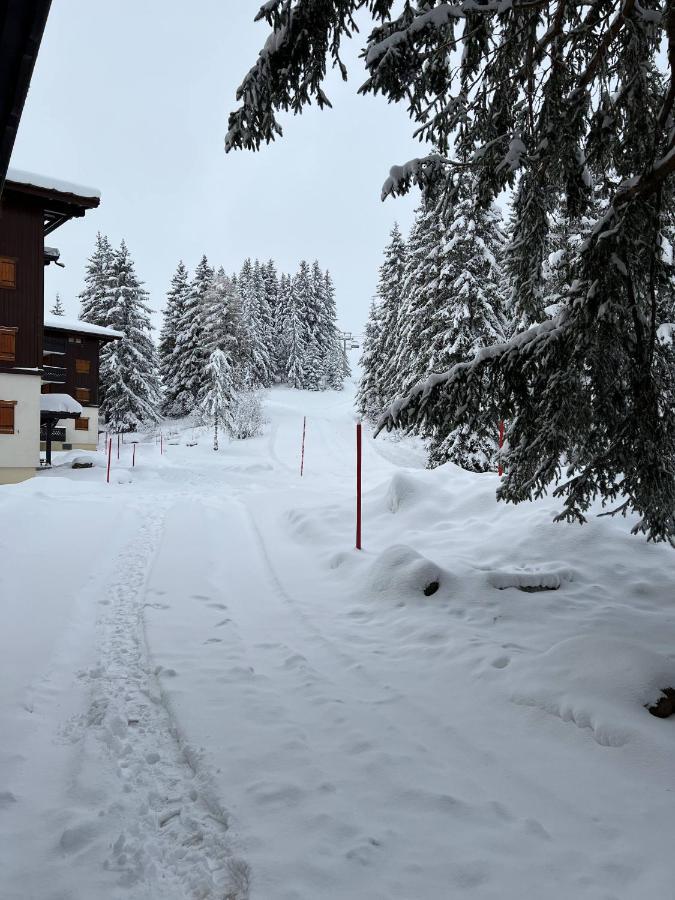 Residence La Foret Des Rennes - Les Saisies Виллар-сюр-Дорон Экстерьер фото
