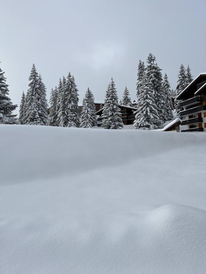Residence La Foret Des Rennes - Les Saisies Виллар-сюр-Дорон Экстерьер фото